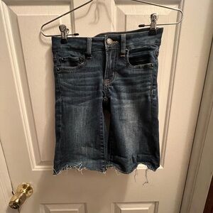 American Eagle Outfitters Blue Bermuda Shorts